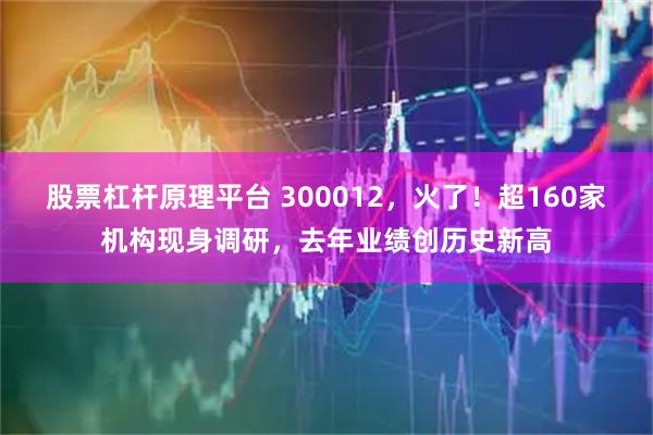 股票杠杆原理平台 300012，火了！超160家机构现身调研，去年业绩创历史新高